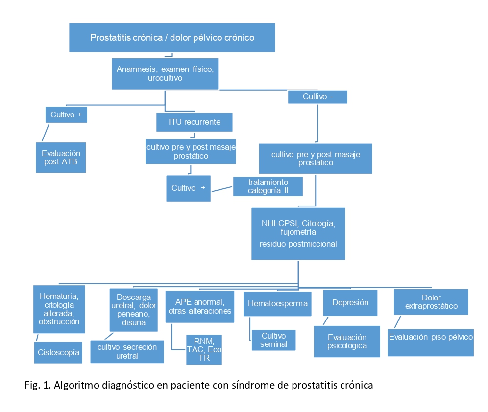 Fig. 2. Algoritmo diagnóstico en paciente con síndrome de prostatitis crónica