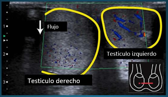 La Biblia y la ciencia. Fig. 14.-tejido celular de la médula. Fig