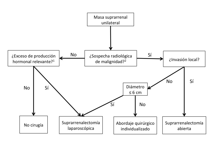 Fig. 3. Diagrama de flujo para el manejo de tumores suprarrenales considerados para tratamiento quirúrgico.