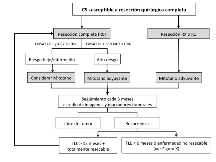 Fig. 5. Diagrama de flujo para el tratamiento de CS susceptible a resección quirúrgica. TLE: tiempo libre de enfermedad