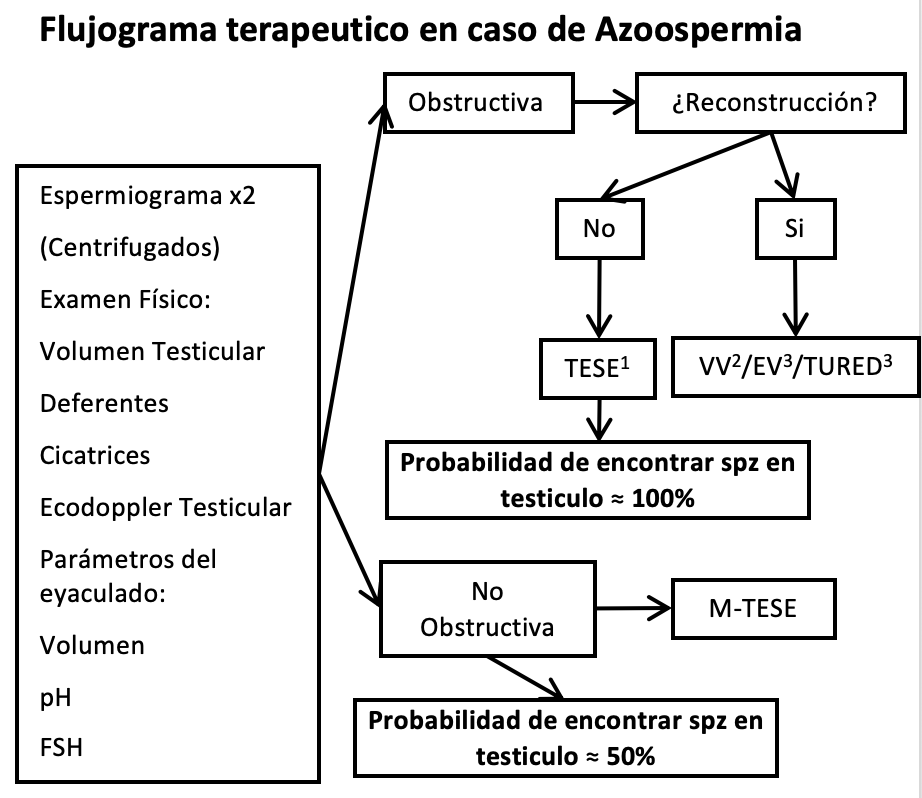Fig. 1. 1Testicular Sperm Extraction; 2Vaso-Vasostomia; 3Trans-Urethral Resection of Ejaculatory Duct (reseccion de quiste del utriculo)